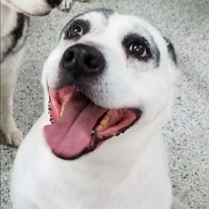 Meet your Posher, Shannon